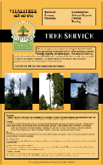 Seattle Advertising Design