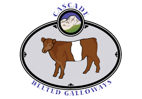 Logo Design Seattle