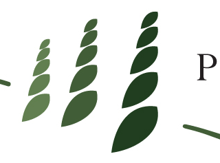 Seattle Logo Design